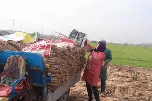 丰县最新爆料信息网,揭秘事件背后真相